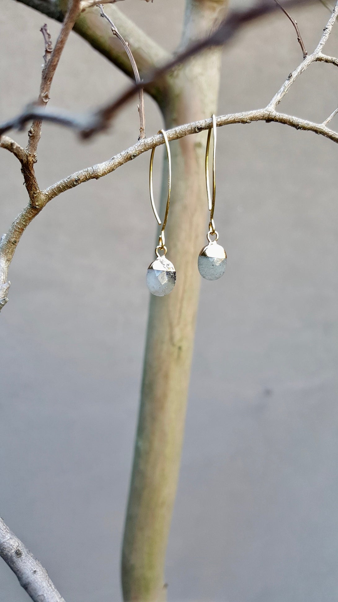 Labradorite Drop Earrings, February And March Birthstone, Stone Of Transformation