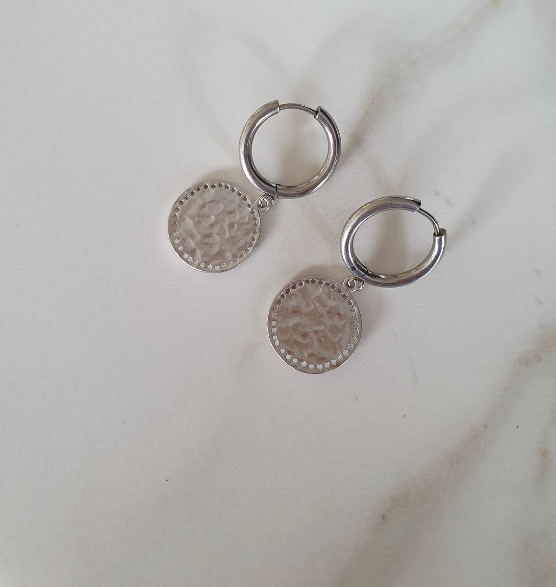 Titanium Coin Hoop Earrings In Silver Or Gold