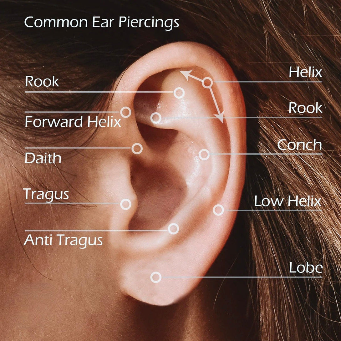 Helix, Daith, Traugus Lobe, Rook, Labret And Ear Piercings In Surgical Steel, Butterfly, Star, Constellation, Hyphen, CZ Barbell Piercings