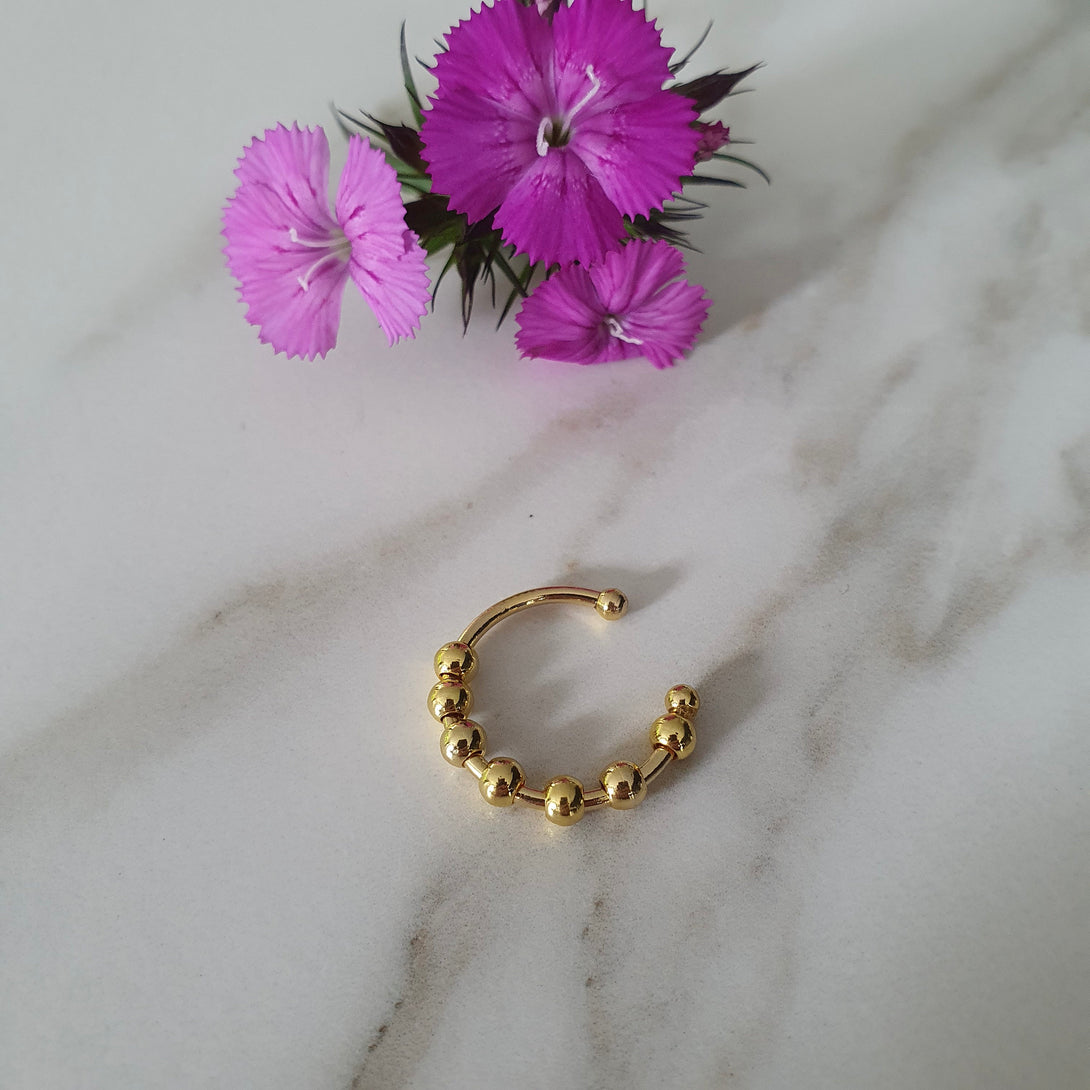 Anxiety Ring, Fidget Ring, Gold, Silver Or Rose Gold Stainless Steel Bead Ring