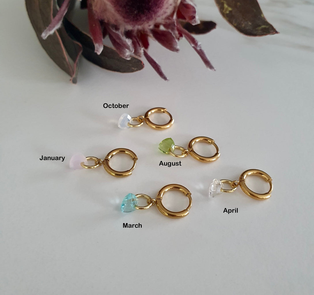 Mini Titanium Birthstone Hoop Earrings, Huggies