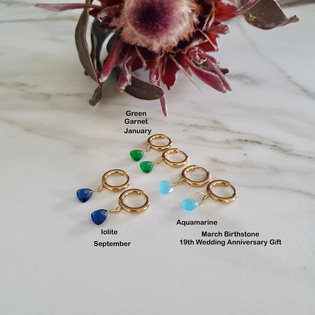 Mini Titanium Birthstone Hoop Earrings, Huggies